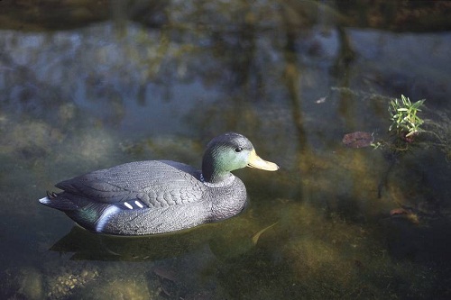 Pond figures Mallard duck drake
