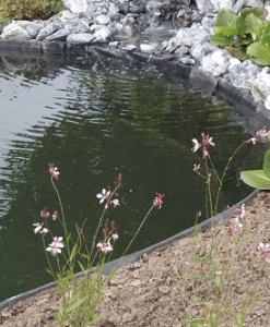 Pond edge system & bed enclosure