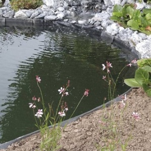 Pond edge system & bed enclosure