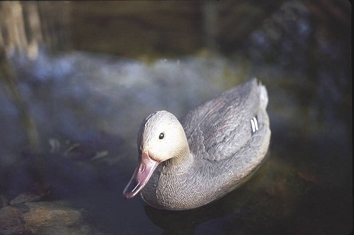 Pond figures Mallard duck female