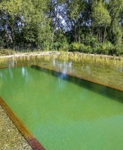 Swimpond liner
