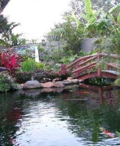 BƠM LỌC HỒ CÁ
