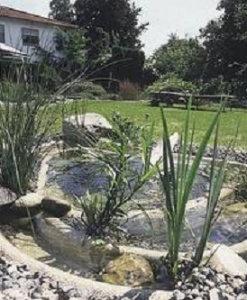 Preformed ponds