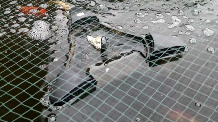  Cách lọc bể cá sạch bằng bộ lọc hồ cá bề mặt Swimskim Oase